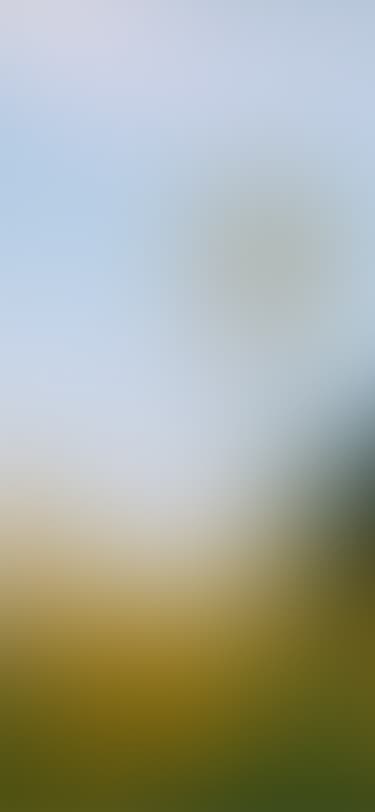Dimension image